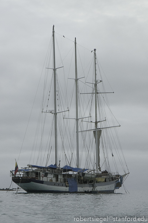 3 masted